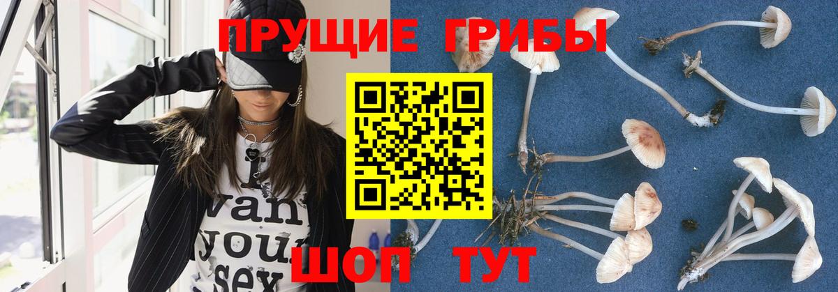 Галлюциногенные грибы MAGIC MUSHROOMS  Вход с VPN  Донецк 